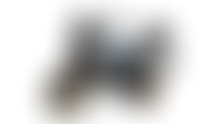 CF Moto, a proven brand