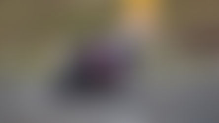 Eoin ÓSiochrú and the TT