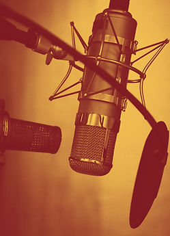 Caryn Bell Voiceover professional home studio