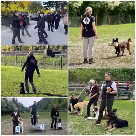 Hundesportprüfung 17. Mai 2026, HSV ABRI