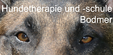 Hundetherapie und -schule Bodmer hoch_1_.png