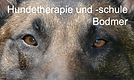 Hundetherapie und -schule Bodmer hoch_1_.png