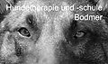 Hundetherapie und -schule Bodmer hoch_1__edited.jpg