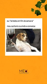 Design sem nome (8).png