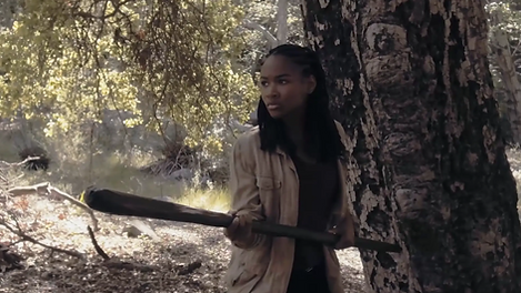 Narrative_ A blossom in the night