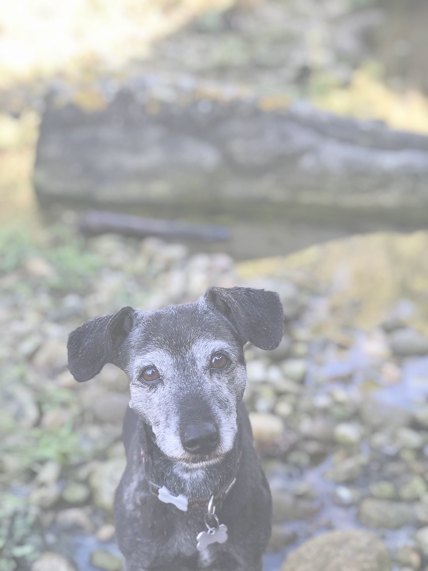 IMG-20190903-WA0025_edited_edited.png