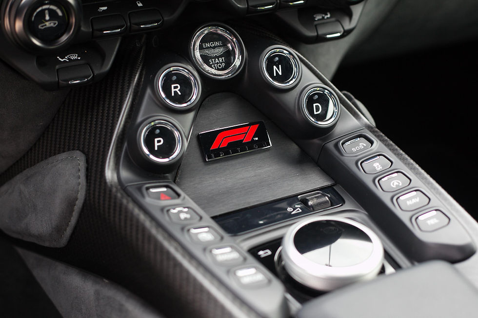 Miniatura: ASTON MARTIN Vantage F1