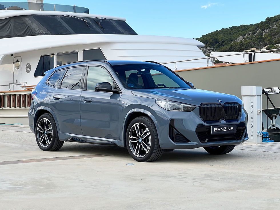 Miniatura: BMW iX1