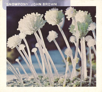 Excellent single from Snowpony, produced by John McEntire of Tortoise image