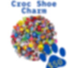 Croc Shoe Charm