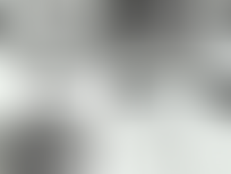 Copy of biofilm studies