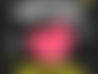 신림퍼블릭 최고급 서비스