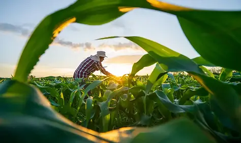 adobestock_621171608.webp