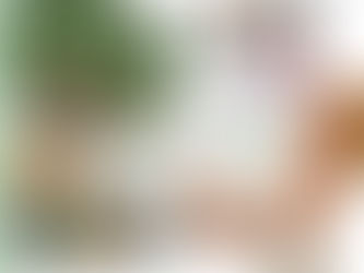 Healing Through Creativity: The Story of CFAW