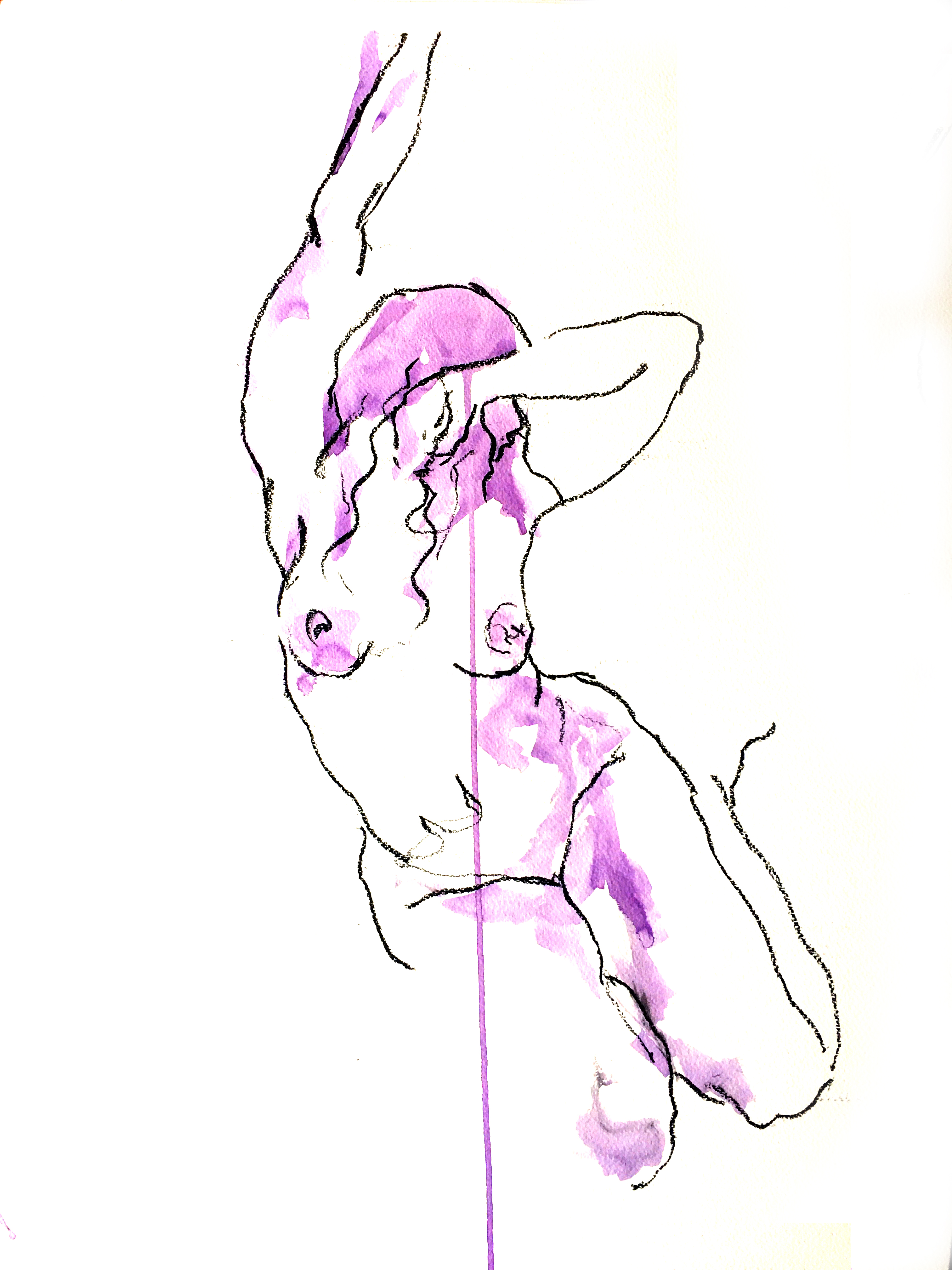 Purple patch 1