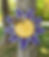 Thumbnail: *TEMPLATE* Yeager 3D Flower design