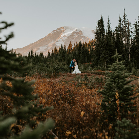 C & D // Mt. Rainier, WA