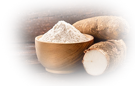 Cassava root 1.png