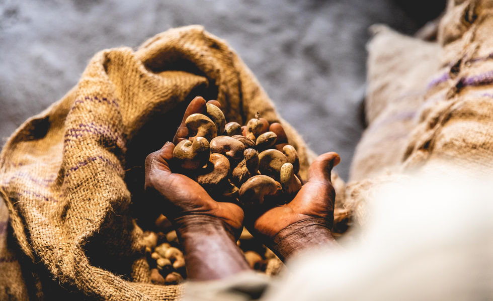 Reports-Africa-Mozambique-2020-January-Momentum Production-Yann Macherez-16.jpg