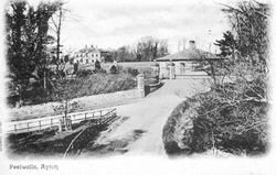 Peelwalls Ayton