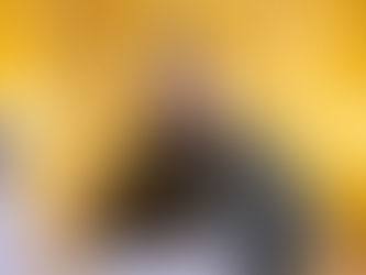 Réception officielle du président du parlement ukrainien (la RADA) au Sénat