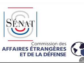 Mission RIMED 2/2 - Chypre : réarmement et dégradation du contexte stratégique en Méditerranée