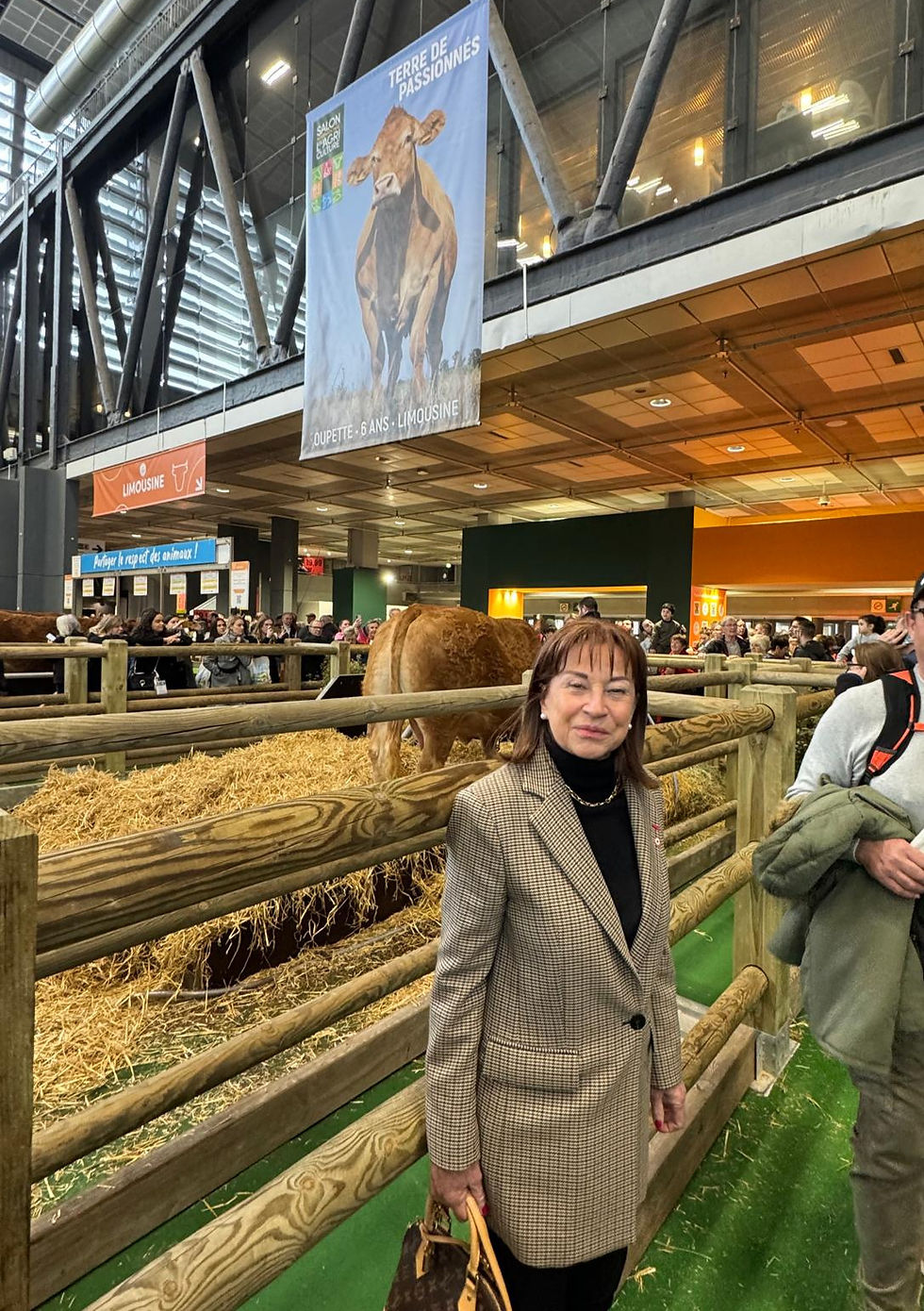Devant Oupette, la vache Limousine, égérie du Salon International de l'Agriculture 2025