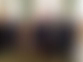 Échanges entre la Commission des affaires étrangères, de la défense et des forces armées du Sénat et son homologue turque