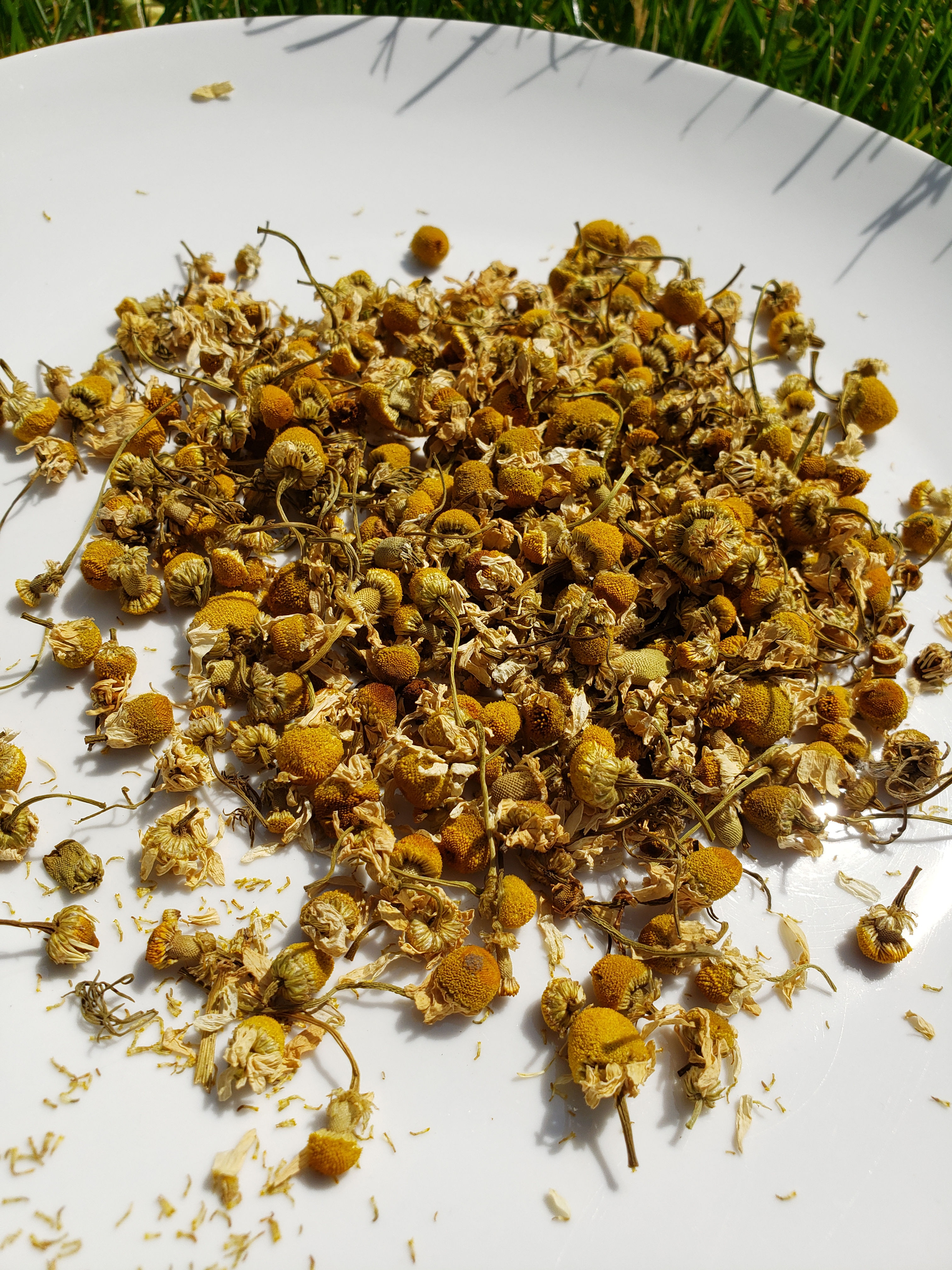 Egyptian Chamomile Tea 1 oz