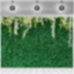 Grassy Backdrop.jpg