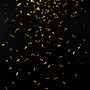 golden confetti dropping with a black background.jpg