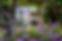 Untitled design (43).png