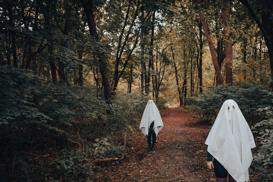 October Half-Term: Family Days Out