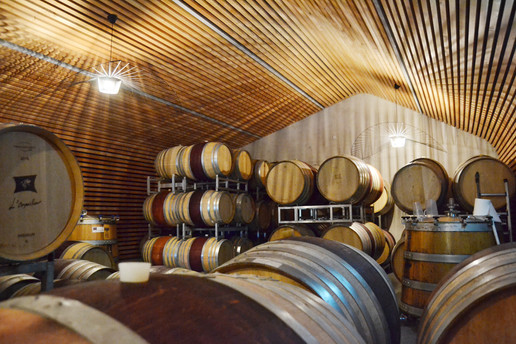Cave de L'Orpailleur – Pierre Favre Vins