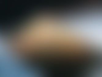 Cheese Filo Pastry. Sweet. Savoury. Crispy.