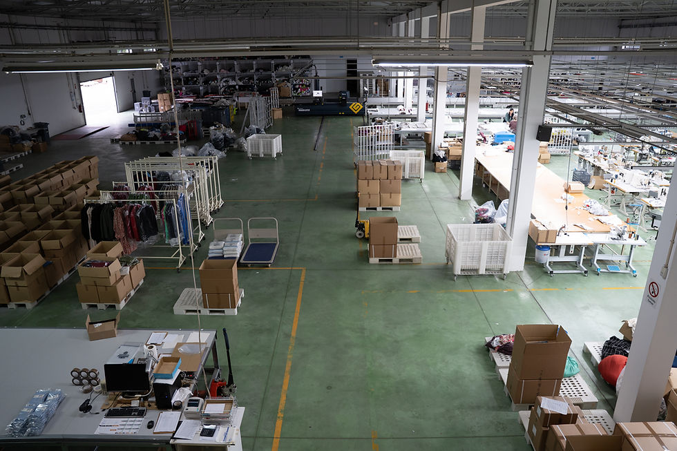 Typical Portuguese CMT factors