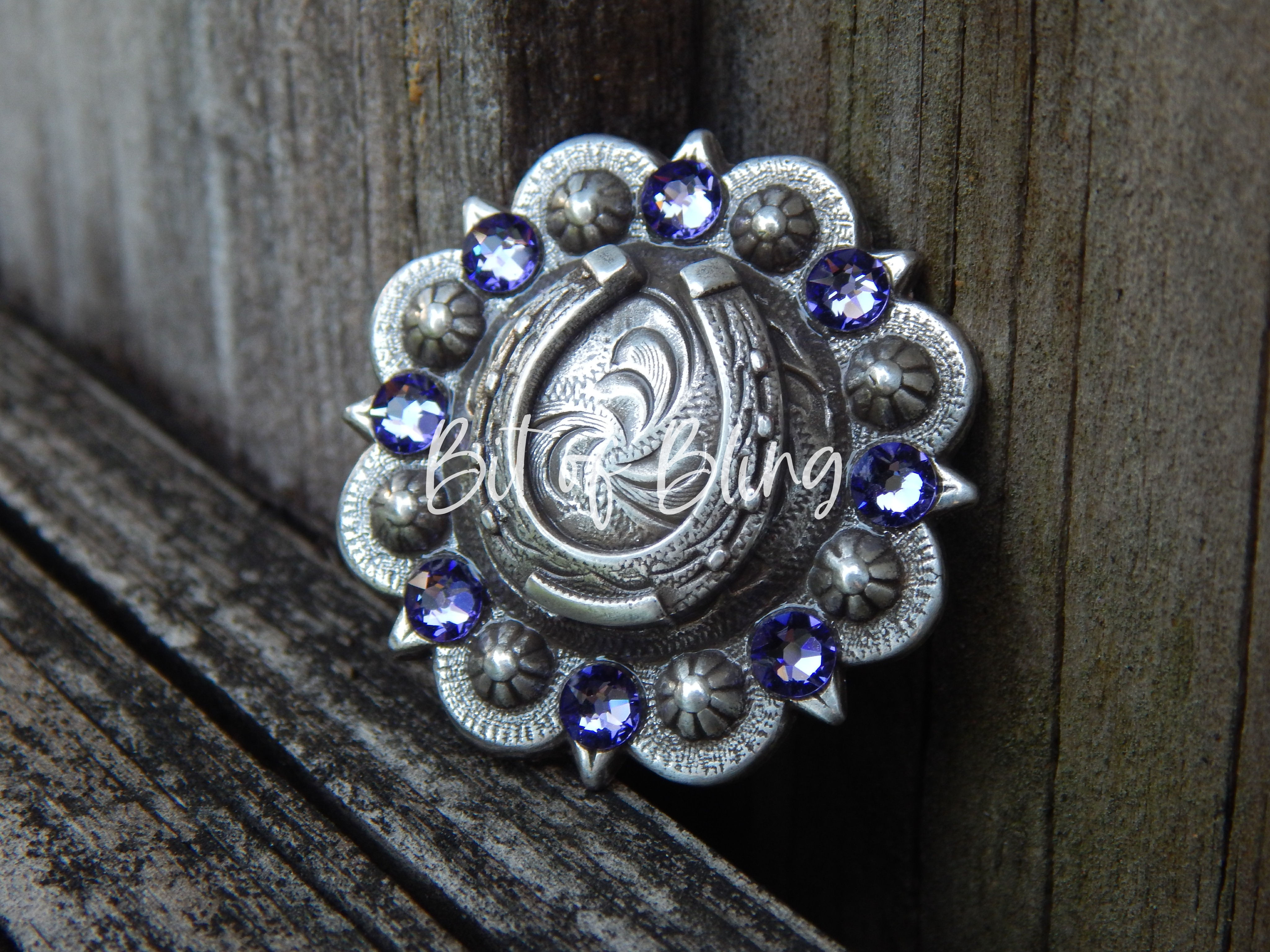 Antique Silver Horseshoe Berry Concho - Tanzanite