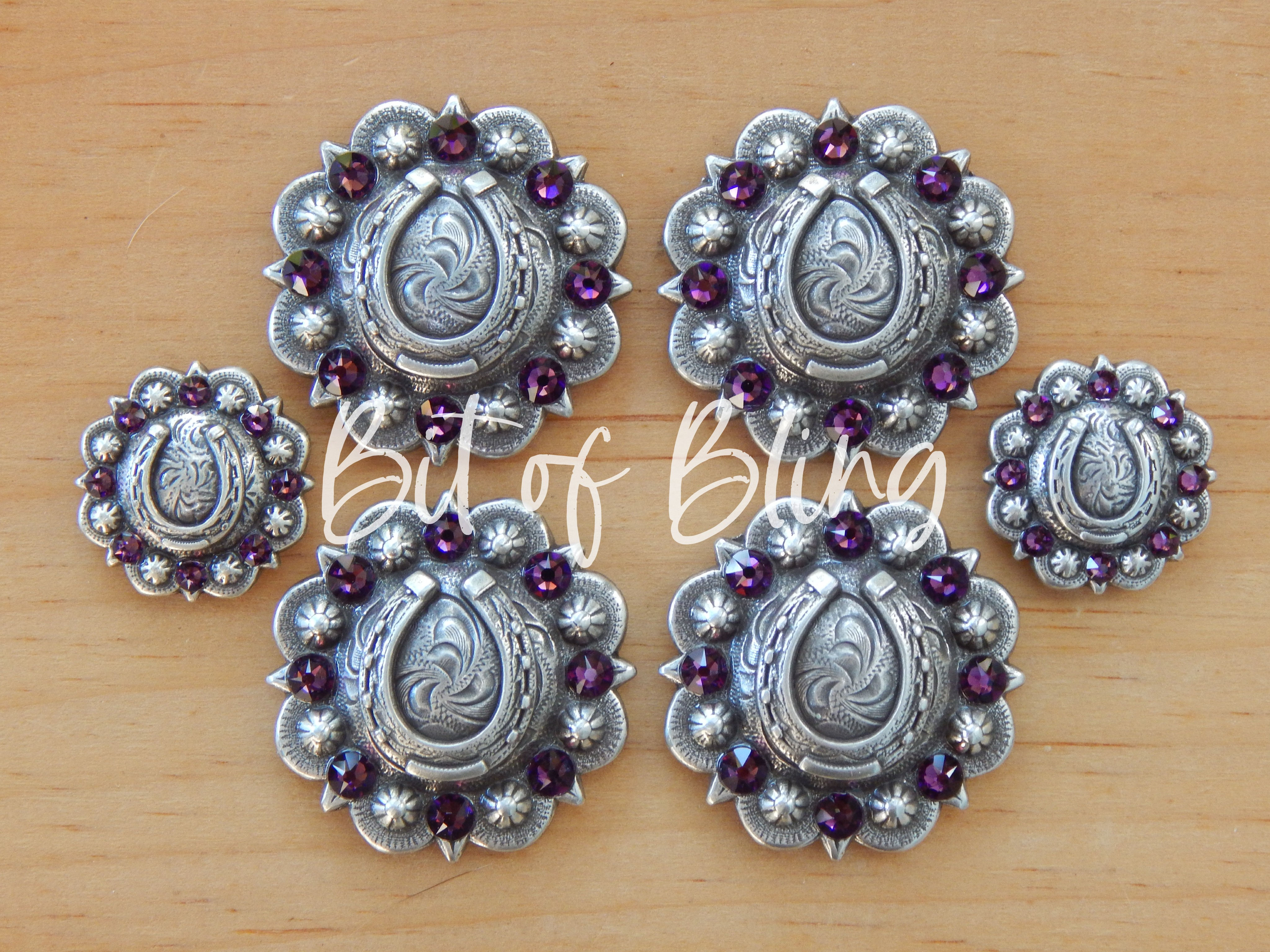 Antique Silver Horseshoe Berry Saddle Concho Set - Amethyst