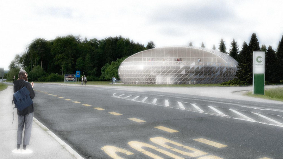 Commercial building, biomorphic shape, natural geometry, transparent construction.
