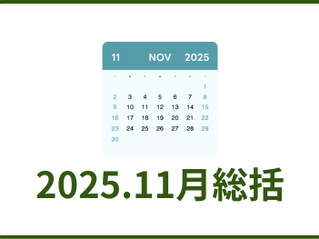 2025年11月総括
