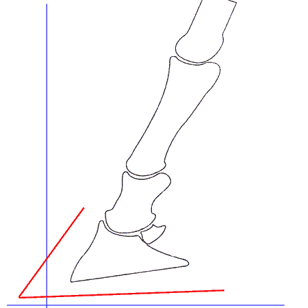 animation of toe first landing