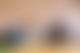 Your leadership style matters more than you think