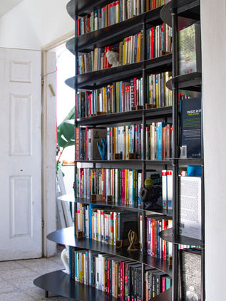 curvy modern metal library design, custom metal design in black