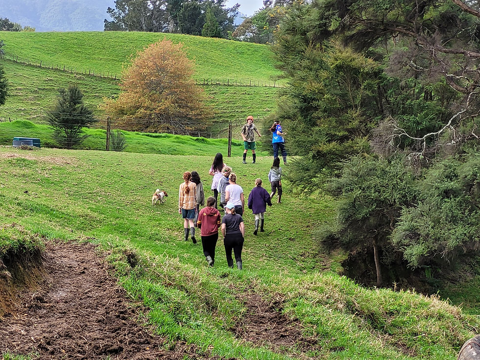 Holiday Programme 20th-22nd January 2026, 12-16yrs