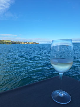 WhatsApp Image 2025-12-01 at 15.25.49_ba5d5bdb.jpg