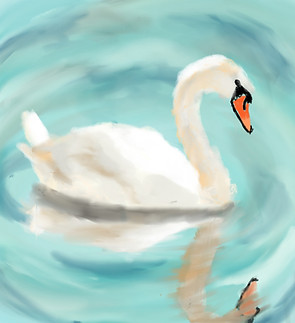 schwan.jpg