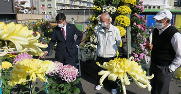IMG_5788.JPG