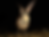 IMG_8459.png