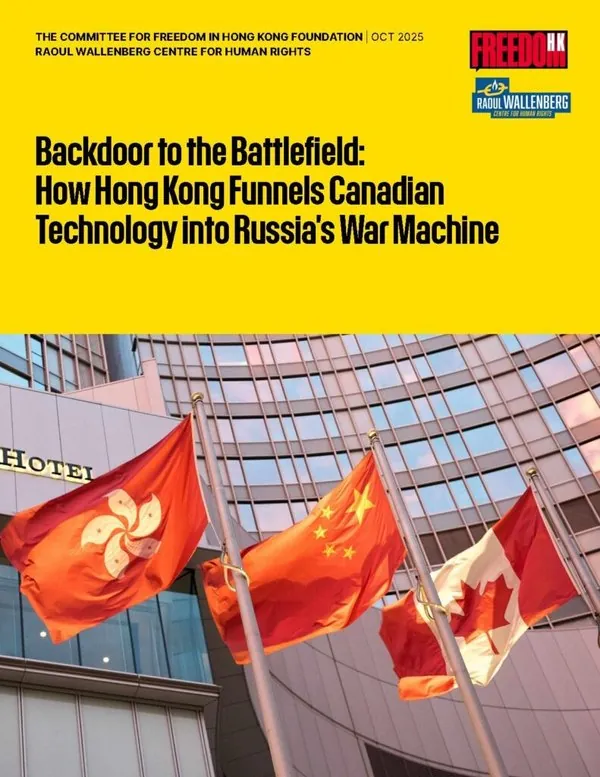 Cover of Backdoor to the Battlefield