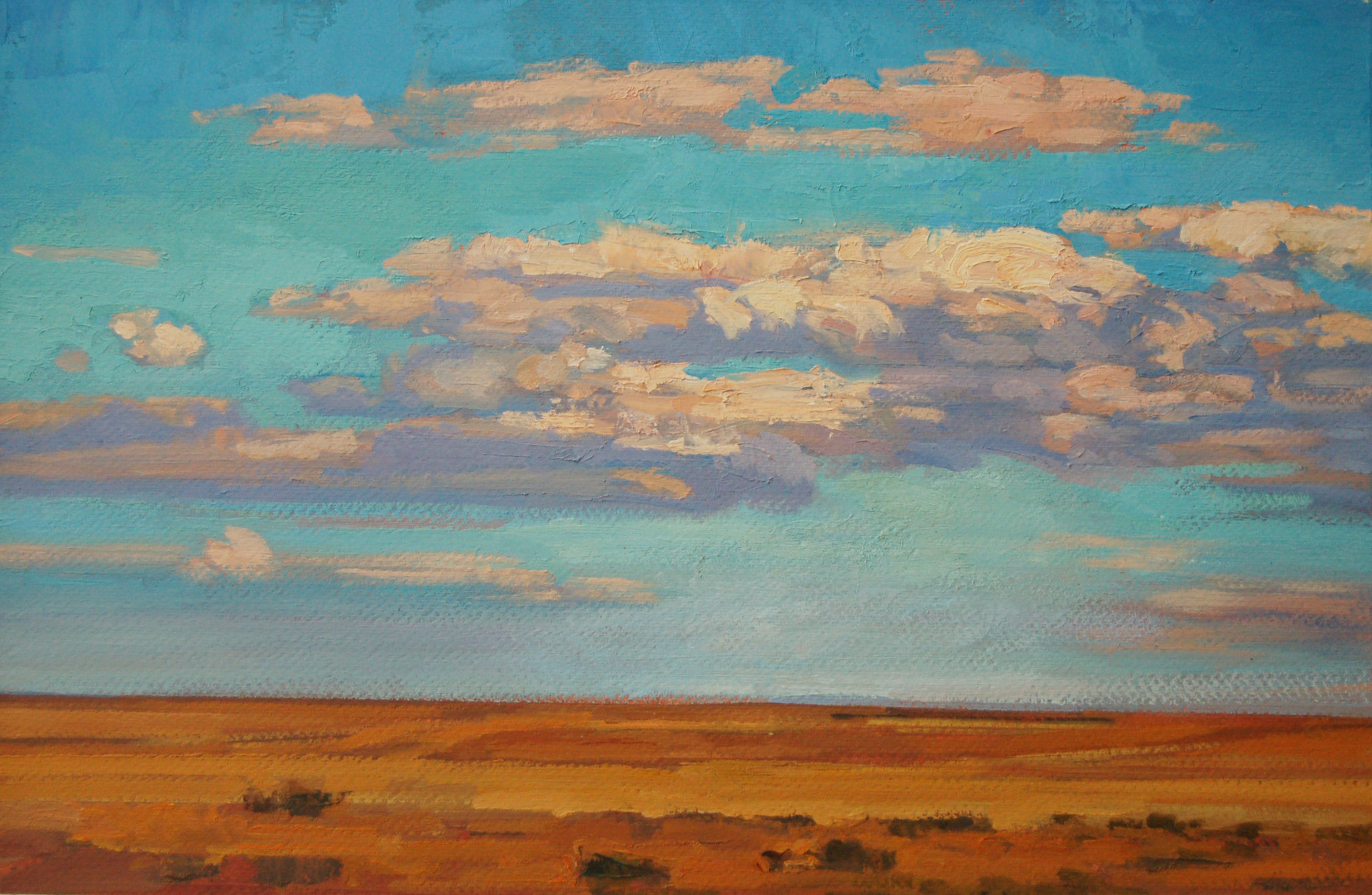 New Mexico Sky Looking West